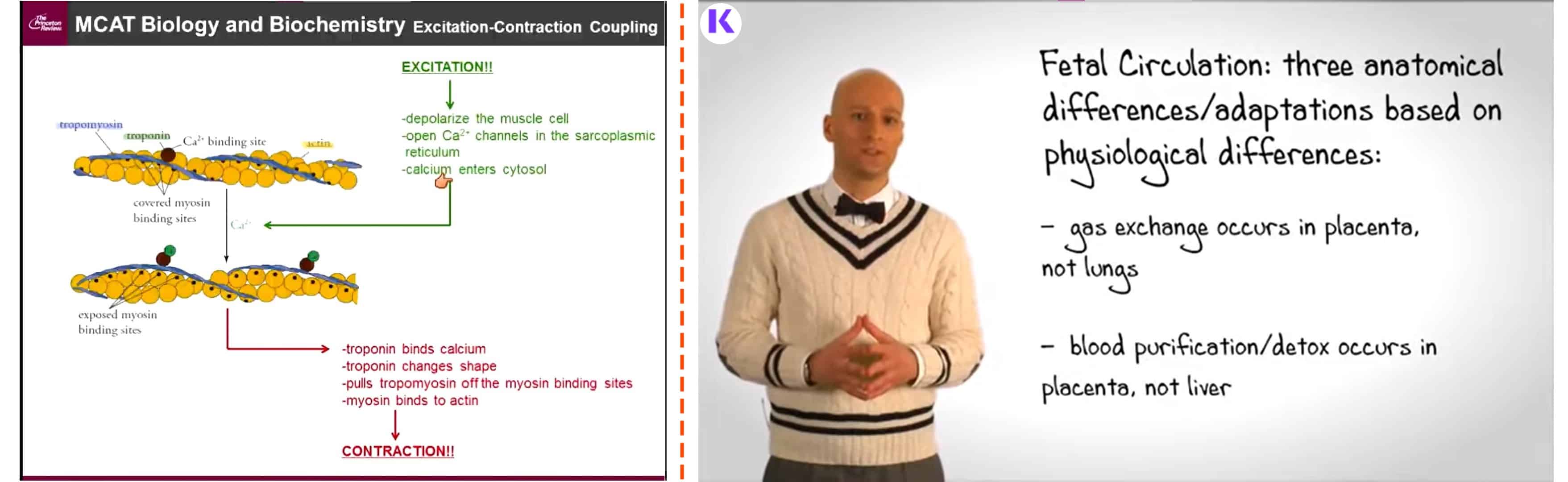 Kaplan Vs. Princeton Review Video Lessons