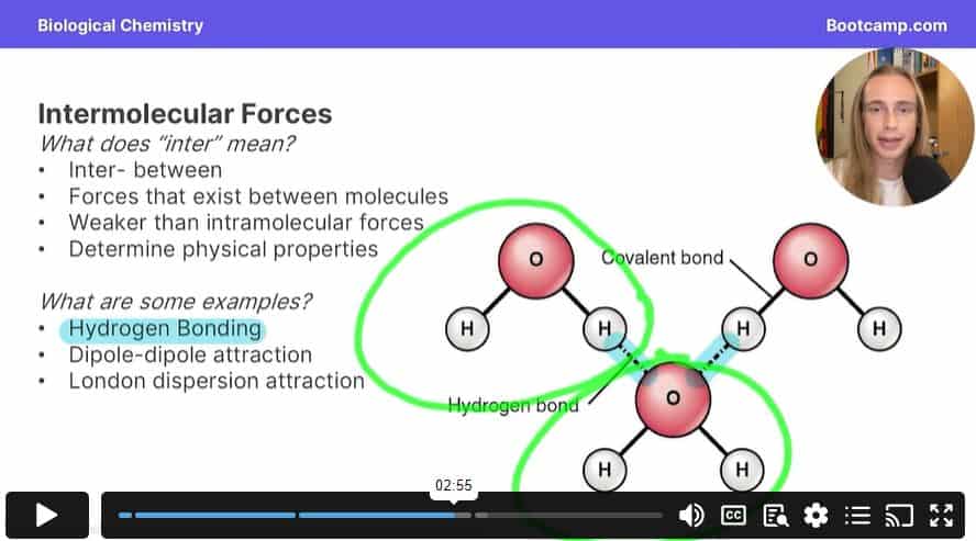 DAT Bootcamp Video Lessons