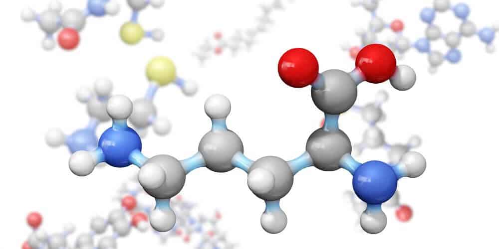 How To Improve Your Bio/Biochem MCAT Score