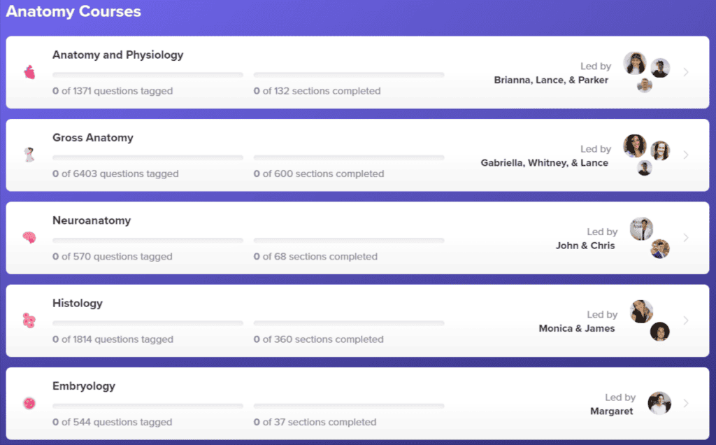 Anatomy Bootcamp Progress Tracking