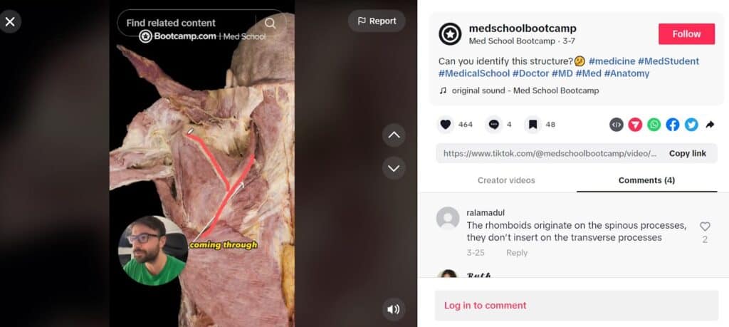 Anatomy Bootcamp TikTok Account