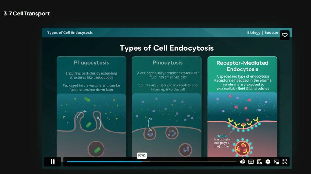DAT Booster Video Lessons