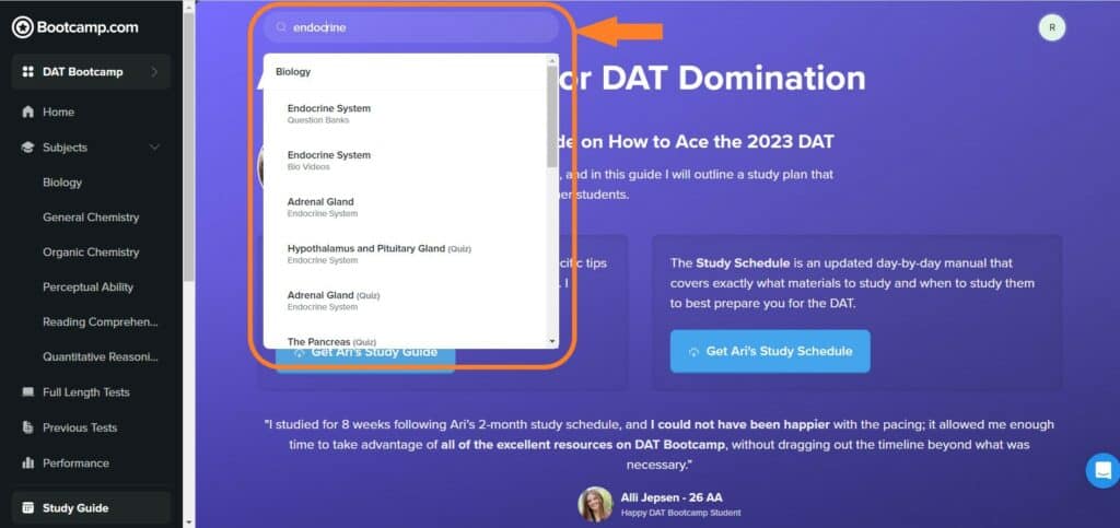 DAT Bootcamp Search Bar Feature