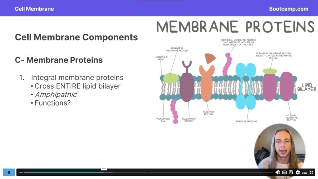 DAT Bootcamp Video Lessons