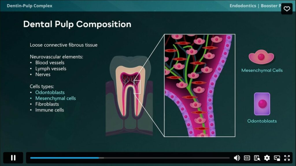INBDE Booster Video Lessons