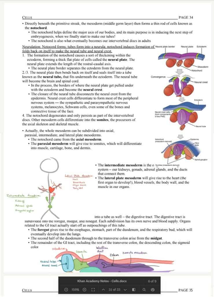 Khan Academy MCAT Notes