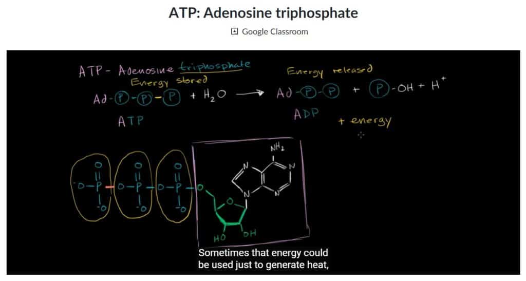 Khan Academy MCAT Video Lessons