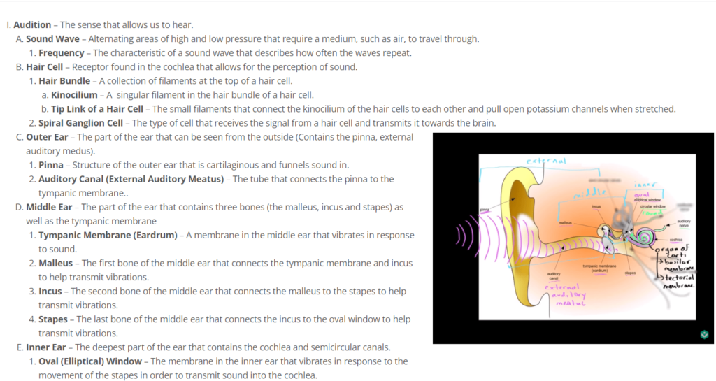 MCAT Self Prep Free Notes