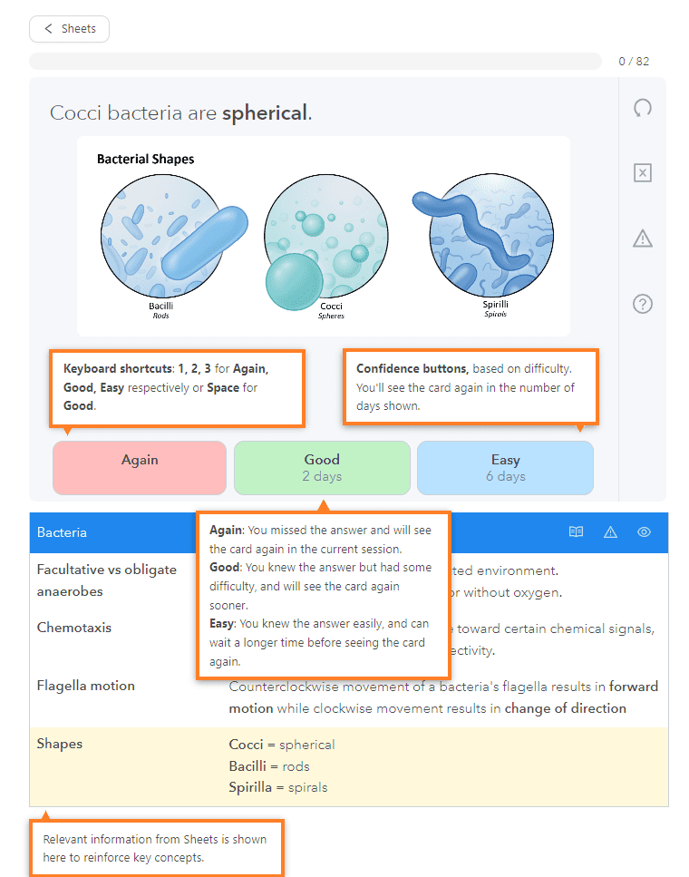 Memm MCAT User Interface
