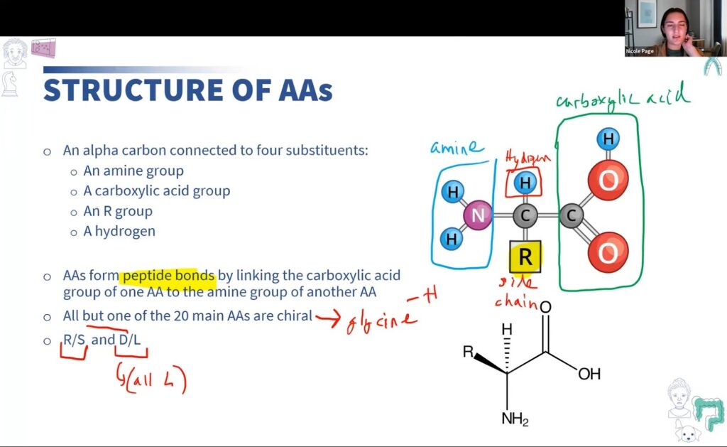 Blueprint MCAT Tutoring